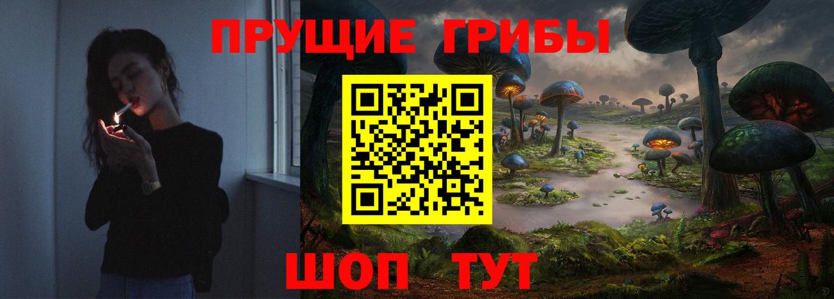 Псилоцибиновые грибы мицелий Великий Новгород